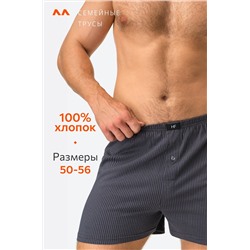 Мужские трусы Happy Fox