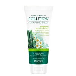 DEOPROCE NATURAL PERFECT SOLUTION CLEANSING FOAM SOAP BERRY &amp; CACTUS FLOWER Пенка для умывания с экстрактом цветков кактуса и мыльным орехом 170г