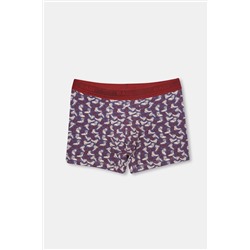 Dagi, Kiremit-lila Erkek Compact Ayakkabı Desenli Boxer