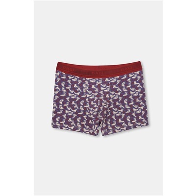 Dagi, Kiremit-lila Erkek Compact Ayakkabı Desenli Boxer