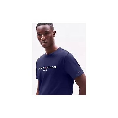 Embroidered Tommy Logo T-Shirt