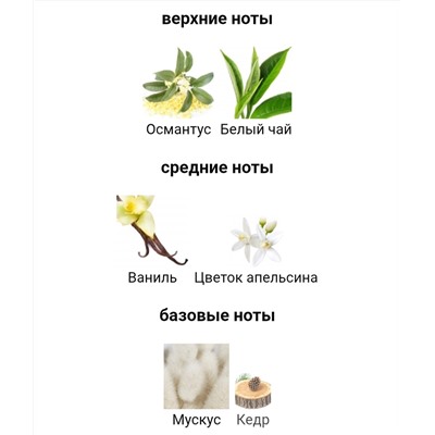 MAX PHILIP  VIOLET  edp 100ml + стоимость флакона