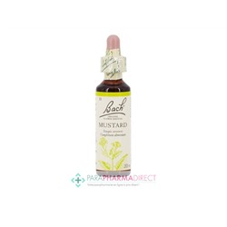 Fleurs de Bach Mustard (moutarde) Sérénité, paix intérieure 20ml