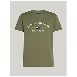 Embroidered Tommy Arch Logo T-Shirt