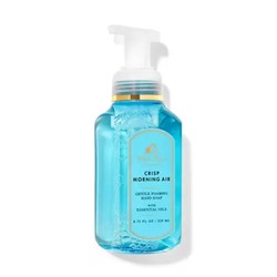 White Barn CRISP MORNING AIR Gentle Foaming Hand Soap