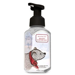Bright Winter Sky


Gentle Foaming Hand Soap