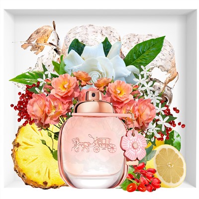 COACH FLORAL BLUSH edp (w) 30ml