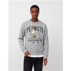 Peanuts' Sweatshirt, Men, Grey