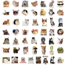 Стикеры коты (100 шт)