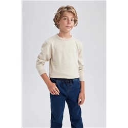 Defacto Erkek Çocuk Regular Fit Bisiklet Yaka Kazak A4992A823WN