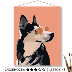 «ХАСКИ В ОЧКАХ»