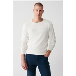 Avva Erkek Ekru Bisiklet Yaka Baskılı Standart Fit Normal Kesim Rayon Triko Kazak A32y5033 A32Y5033