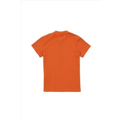 Erkek Çocuk Tarçın Basic Tişört