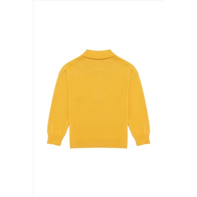 Erkek Çocuk Safran Polo Yaka Kazak