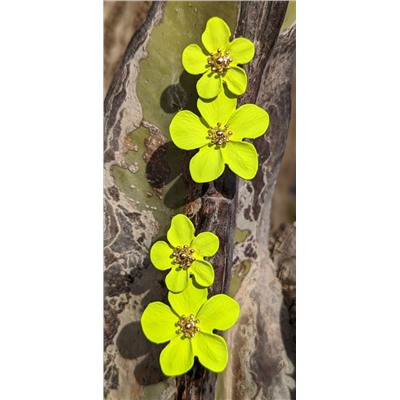 Ab.Zapatos 320 · Limón+Pendientes flores PA3768 Limón