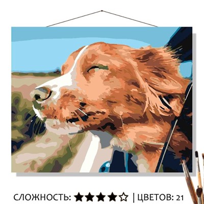 «ЧЕРЕЗ ОТКРЫТОЕ ОКНО»