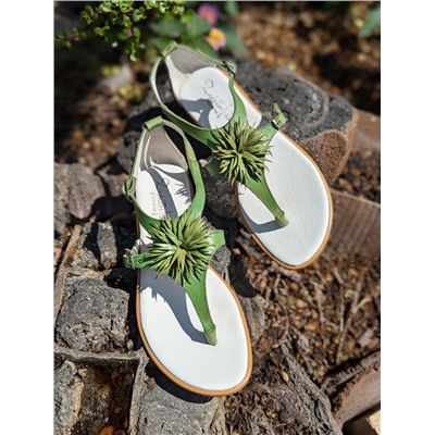 ZAPATOS 2726TG MANZANA+CINTURON BOLSOS (110)-6 (1) АКЦИЯ