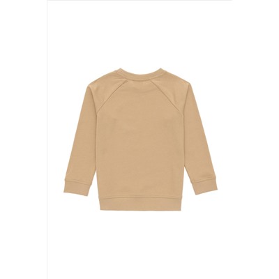 Erkek Çocuk Kum Basic Bisiklet Yaka Sweatshirt