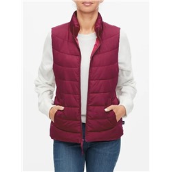 ColdControl Puffer Vest