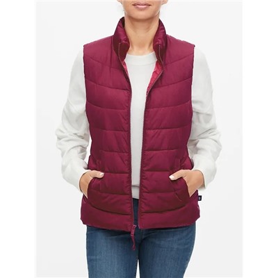 ColdControl Puffer Vest