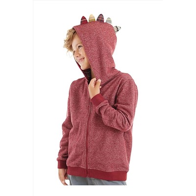 Denokids Ejderha Erkek Çocuk Bordo Kapişonlu Fermuarlı Sweatshirt CFF-23S1-045