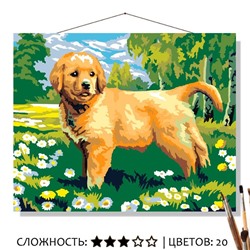 «МОЛОДОЙ РЕТРИВЕР»