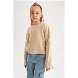 Defacto Kız Çocuk Regular Fit Bisiklet Yaka Kazak A2293A823AU