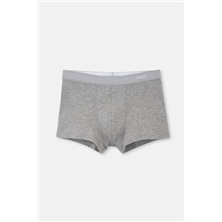 Dagi, Gri Melanj Boxer