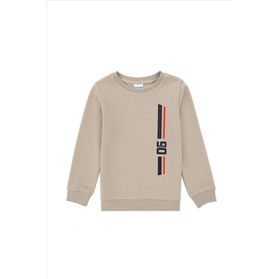Erkek Çocuk Taş Bisiklet Yaka Sweatshirt