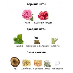 3ML PIERRE GUILLAUME ISPARTA 26 edp отливант