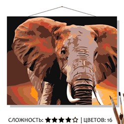 «АФРИКАНСКИЙ СЛОН»