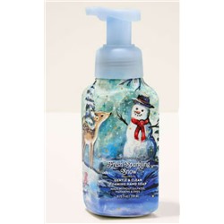 Fresh Sparkling Snow Gentle & Clean Foaming Hand Soap