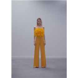 Top estilo bandeau plumas