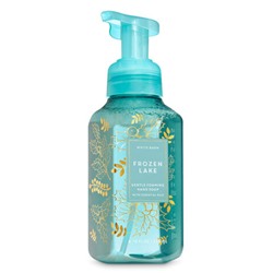 Frozen Lake


Gentle Foaming Hand Soap