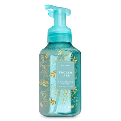 Frozen Lake


Gentle Foaming Hand Soap