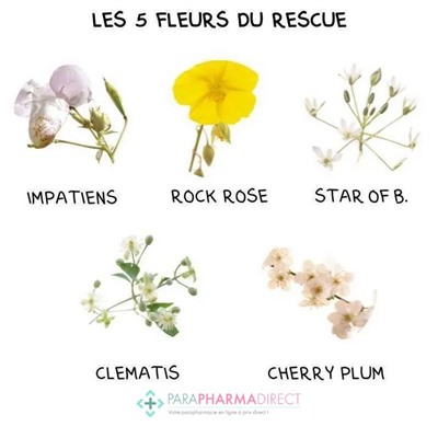 Fleurs de Bach Rescue Nuit Pets Compte-Gouttes 20ml
