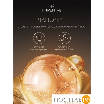 PRIME PRIVE Одеяло CAMEL беж лайт 200х220,1пр.,хл.BIODYNAMIC COTTON/вербл.шерсть, 200 г/м2