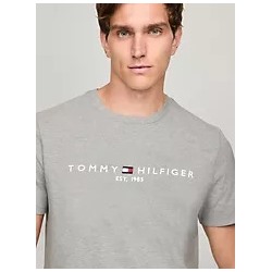 Embroidered Tommy Logo Slim Fit T-Shirt