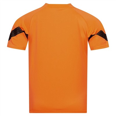 PUMA teamFINAL Herren Trikot 657379-21