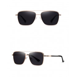 IQ30006 - Солнцезащитные очки ICONIQ JS8541 Bright gold gray sheet C02-P142