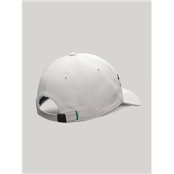 Flag Stripe Logo Baseball Cap