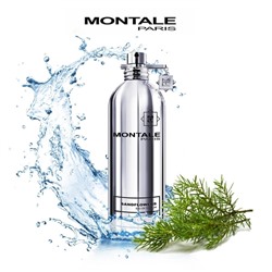 MONTALE SANDFLOWERS edp 20ml