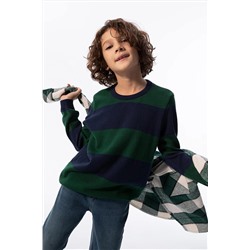 Defacto Erkek Çocuk Regular Fit Bisiklet Yaka Kazak Y4639A622WN