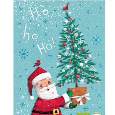 Windel BIO Adventskalender