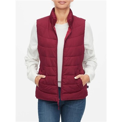 ColdControl Puffer Vest