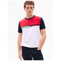 Colorblock Flag Stripe Logo T-Shirt
