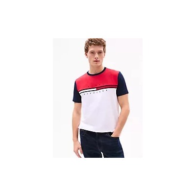 Colorblock Flag Stripe Logo T-Shirt