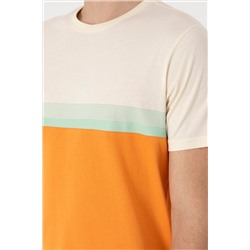 Erkek Regular Fit Bisiklet Yaka Turuncu Tişört