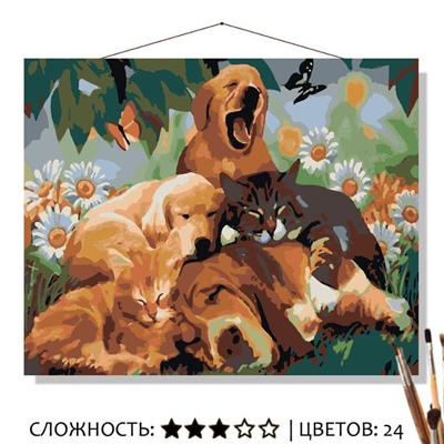 «БРАТЬЯ МЕНЬШИЕ»