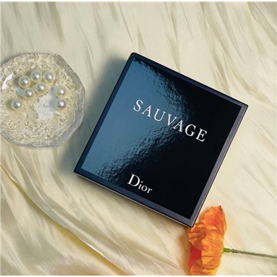 Подарочный набор Dio*r Sauvage , поставка в Китай из Франции 🇫🇷  отличный вариант 🎁 к 23 февраля .. туалетная вода Dio*r sauvage  10мл и ароматный гель для душа  20мл